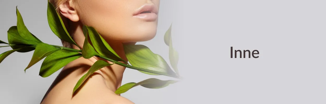 banner desktop