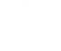 audyty