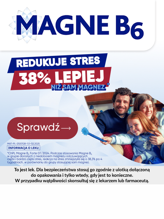 Magne B6